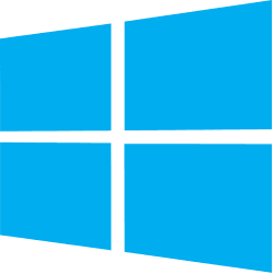 Windows 10/11 Professional — Retail (1 User)